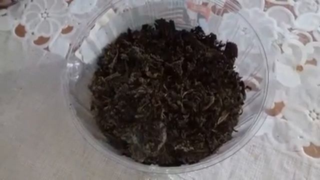 Полезная ли чайная заварка для растений!? смотреть онлайн