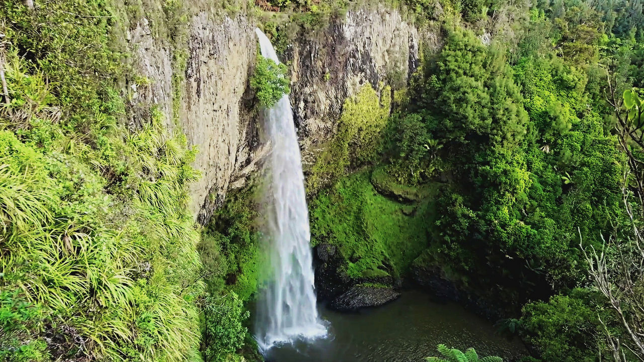 Звук водопада и леса, пение птиц - 1 час расслабляющих звуков природы