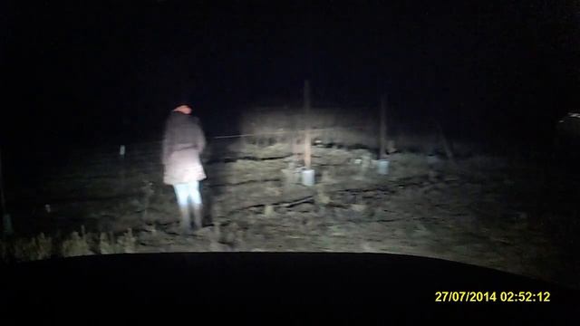 Заяц в поле смотреть онлайн