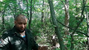 Обороняемся от хищников с помощью ядовитых грибов