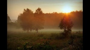 Звуки Природы / Утро На Рассвете / Пение Птиц / Природа.