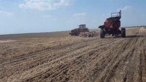 No-till. Посев горчицы  желтой  2.05.2017