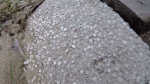 Ускоритель твердения бетона и растворов