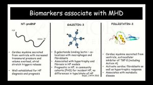 Emory Cardiology Grand Rounds 10-07-2019