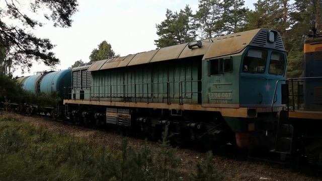 ТЭМ2У-8455, ТЭ114-0067 Манёвры в ООО 