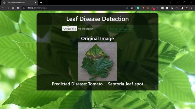 Leaf Disease Detection Flask App in Python - Advanced Deep Learning Project - with source code
