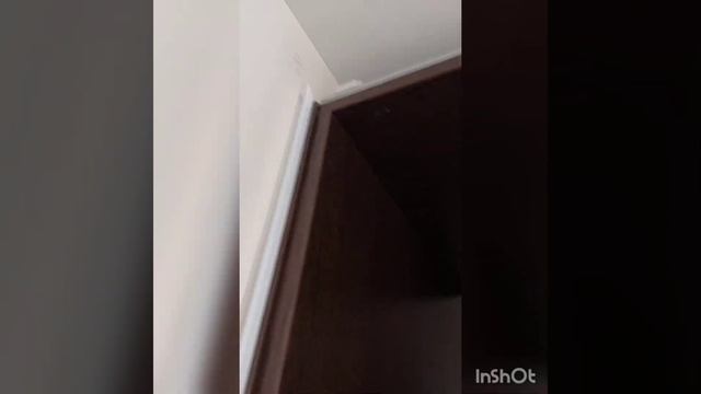 Подключение питания 220 к слаботочному щиту. И другие работы смотреть онлайн