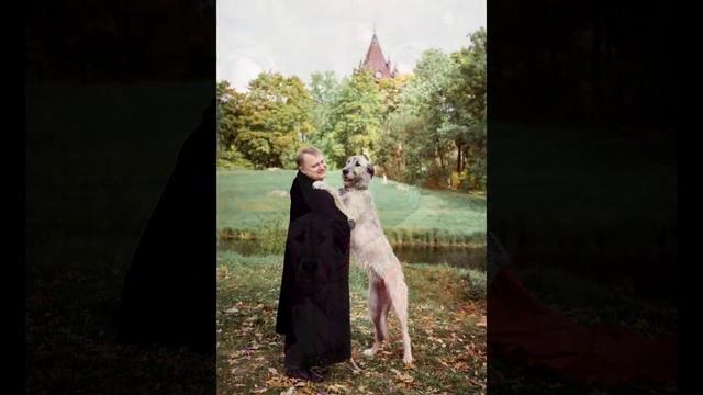 Чугунная свадьба