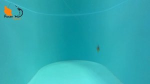 Вибы TSU YOKI НОВИНКИ 2023 года. Игра под водой