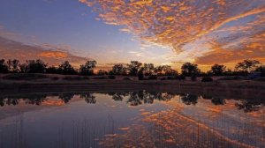 Sangit Om. Melting in One