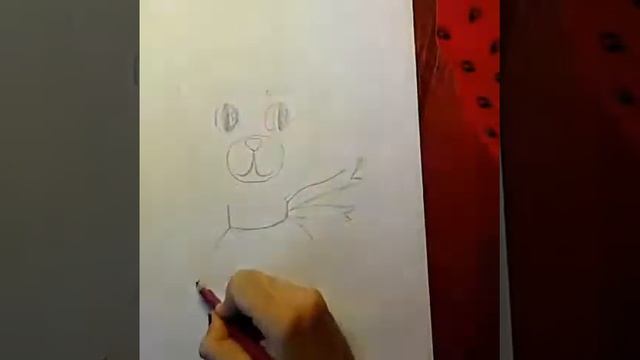 Как нарисовать мишку смотреть онлайн