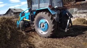 Погрузчик МТЗ 82.1 грузит навоз