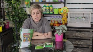 Газон спортивный ✅ Особенности выращивания и уход