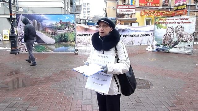 22 11 15 пикет в защиту Копосовской дубравы - требования к правительству смотреть онлайн