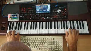 MIDI Controller for KORG PA1000 by AL