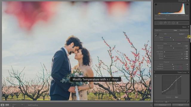 Я ужасный фотограф? Спасаю провальный кадр в Lightroom смотреть онлайн