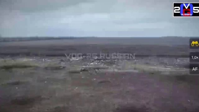 Демилитаризация, денацификация и деэлектрификация чубов