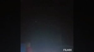 Высоколётные и долголётные пакистанские голуби. Пакистан .