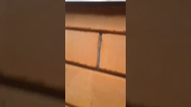 Проникновение в чужой дом серия[♡2] смотреть онлайн