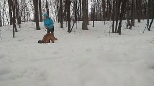 Как ускорить собаку на аджилити?