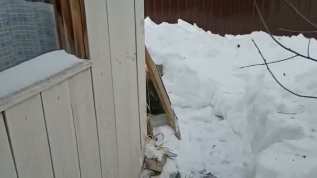 Мы купили дачу!!! Обзор дачного участка в п. Мурзинка (Свердловская область)
