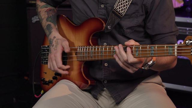 Sire Basses Demo смотреть онлайн