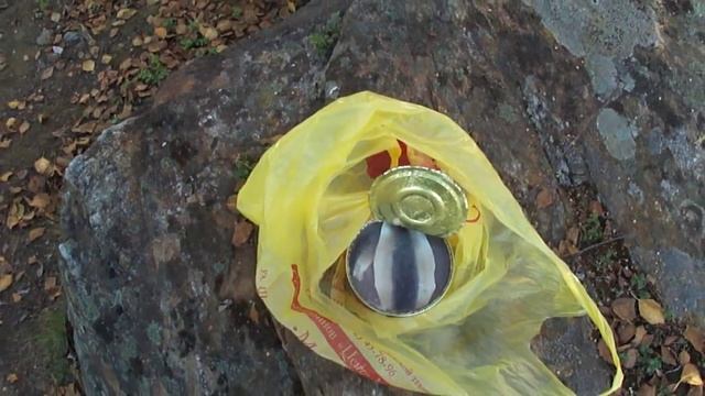 Чем пахнет сюрстрёмминг смотреть онлайн