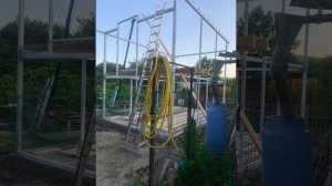 Козлятник из сэндаича