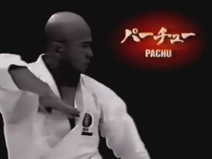 Рюэй рю каратэдо, разбор ката Пайчу