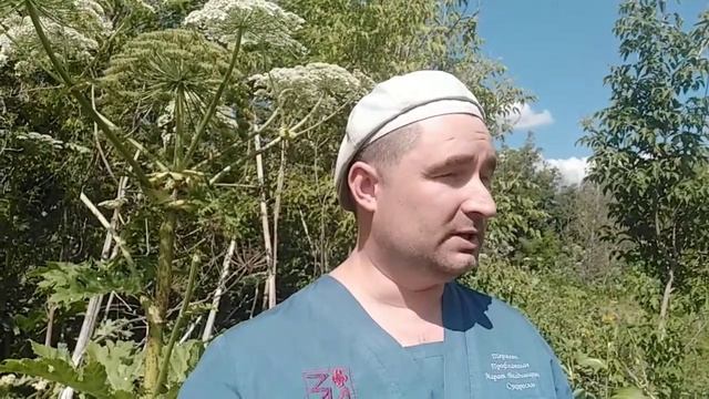 Ожог борщевиком 2 смотреть онлайн