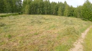 "Тренировочный" сенокос мотоблоком стартовал! Накрылся  "септик"!  Телега для сена из прошлого!