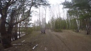 пакатушка авантис 300 про гр 8 172 мотор