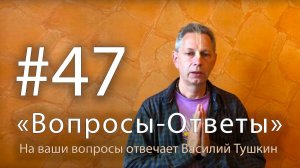 "Вопросы-Ответы", Выпуск #47 - Василий Тушкин отвечает на ваши вопросы