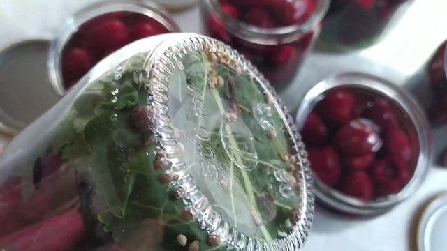 Маринованная черная черешня смотреть онлайн