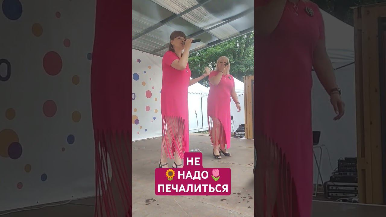 Борки - Не надо печалиться  #лето #концерт