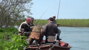 Видео о рыбалке на Камчатке. Ловим чавычу на реке Большой.