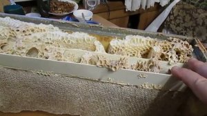 подготовка пчел в зиму - поперечные брусочки на верхние бруски рамок под холстик , за и против.