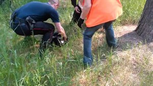 Отлов обезьян в Ангарске)