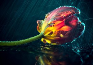 Добрый Вечер! Открытка для Друзей!