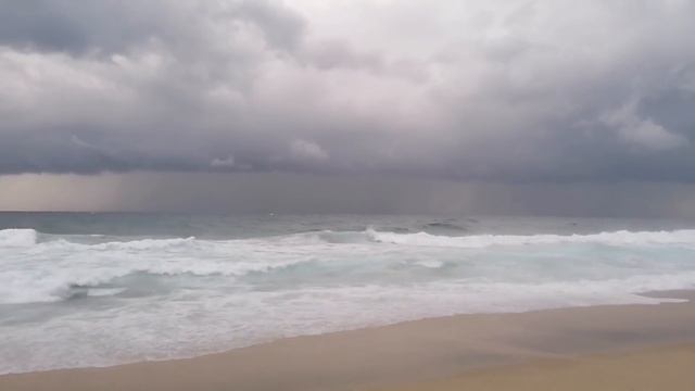 Я главный ГЕРОЙ СЕРИАЛА?Противный КОТ?помешал НАСЛАДИТЬСЯ МОРЕМ?Нашла ДОХЛУЮ КРЫСУ?на Клеопатре⛱ смотреть онлайн