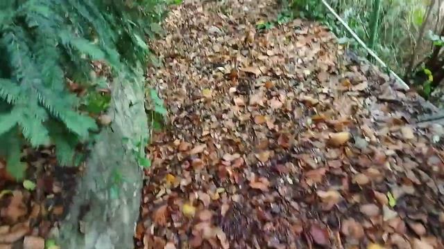 Ялта-21. 4 серия. Забытая тропа.mp4 смотреть онлайн