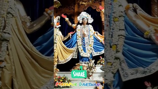 #RadhaMadhava #Panchatattva #Prahlad #Nrisimhadev #Darshan || #ISKCON #Mayapur #Chandradaya #Temple