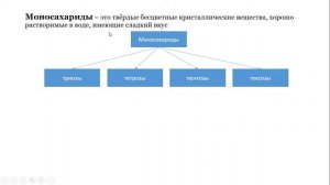 Урок №3 "Углеводы"