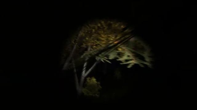 обзор игры Survivers Viy смотреть онлайн