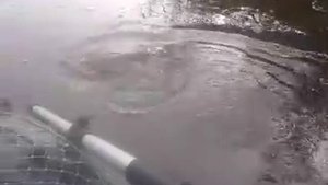 Рыбалка на Финском заливе. Ловля щуки на спиннинг