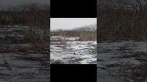 первый лёд.