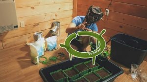 Капельный полив. Кокосовый субстрат.