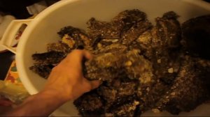 Как вытапливать пчелиный воск из сот