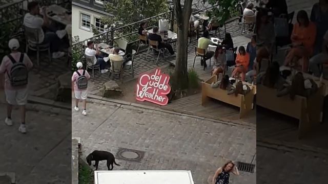 Жизнь в Люксембурге. Интересное о Люксембурге.
