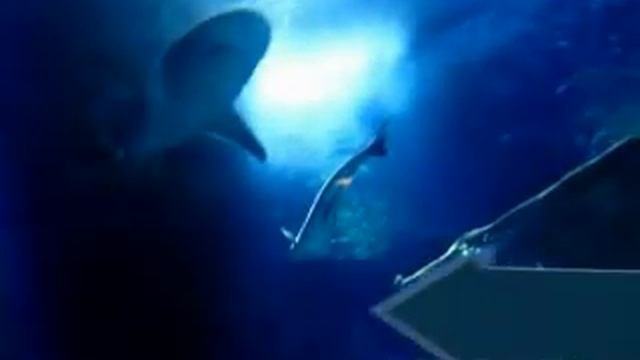 Сергей Савин - Когда-нибудь (сл. Юрий Черкашин) смотреть онлайн